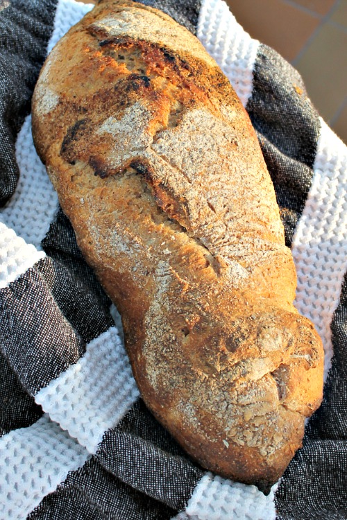 Koldhævet glutenfri brød