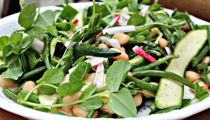 Salat med hvide og grønne bønner, radiser, ærteskud samt courgetter