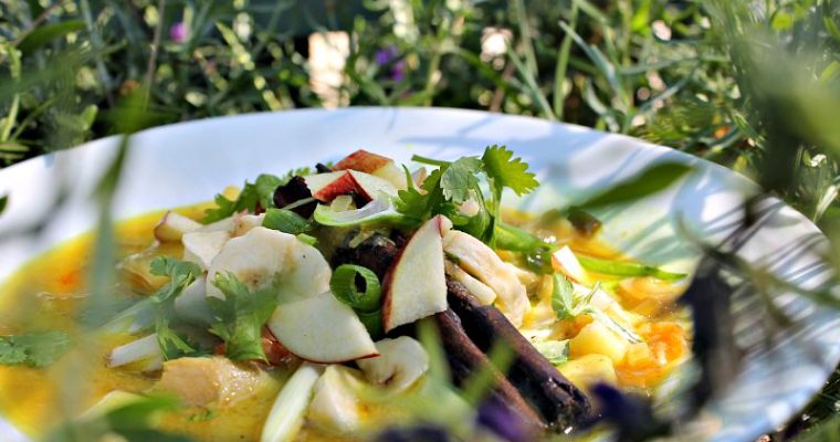 Mulligatawny suppe m/ kylling, kartofler, banan og æbler